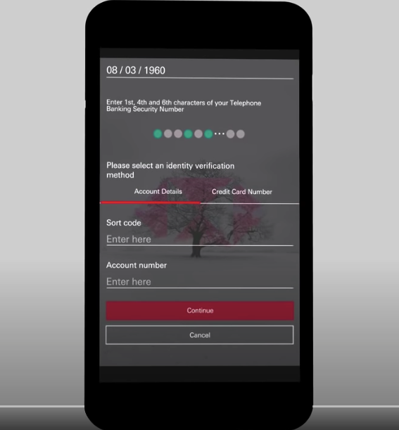 Exemplu de intrare parolă HSBC