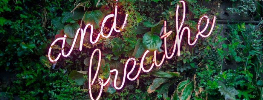 Sfaturi pentru Rezolvarea Conflictelor: Gestionarea și Rezolvarea Conflictelor cu Clienții