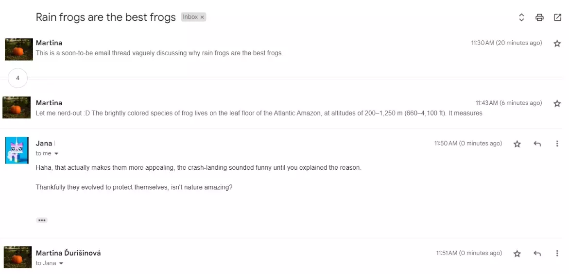 Un fir de e-mail constând din mai multe mesaje discutând același subiect.