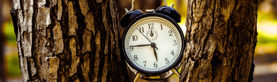 Cum să oferi cel mai bun suport pentru clienți în timp real în 2025