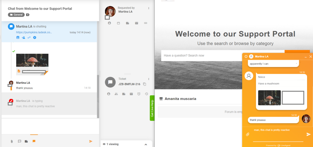 LiveAgent - previzualizare în timp real a tastării
