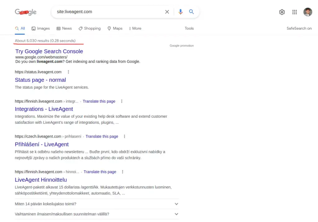 Identificați paginile indexate de Google Search