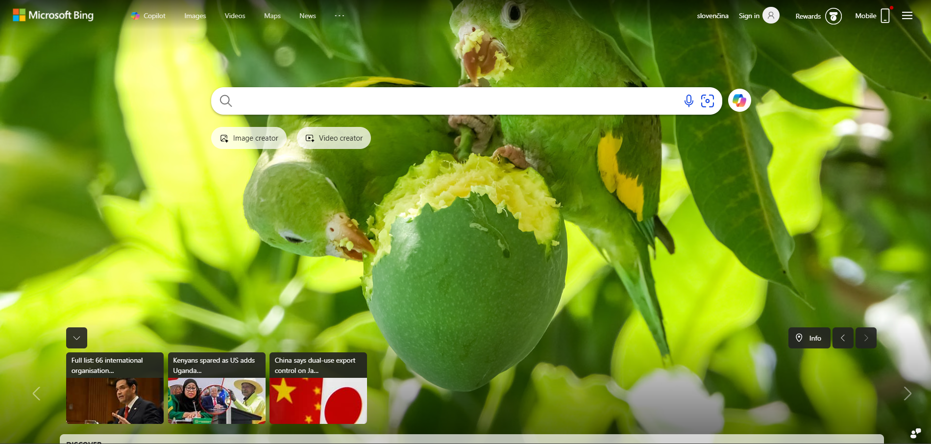 Contacte Bing Help Desk