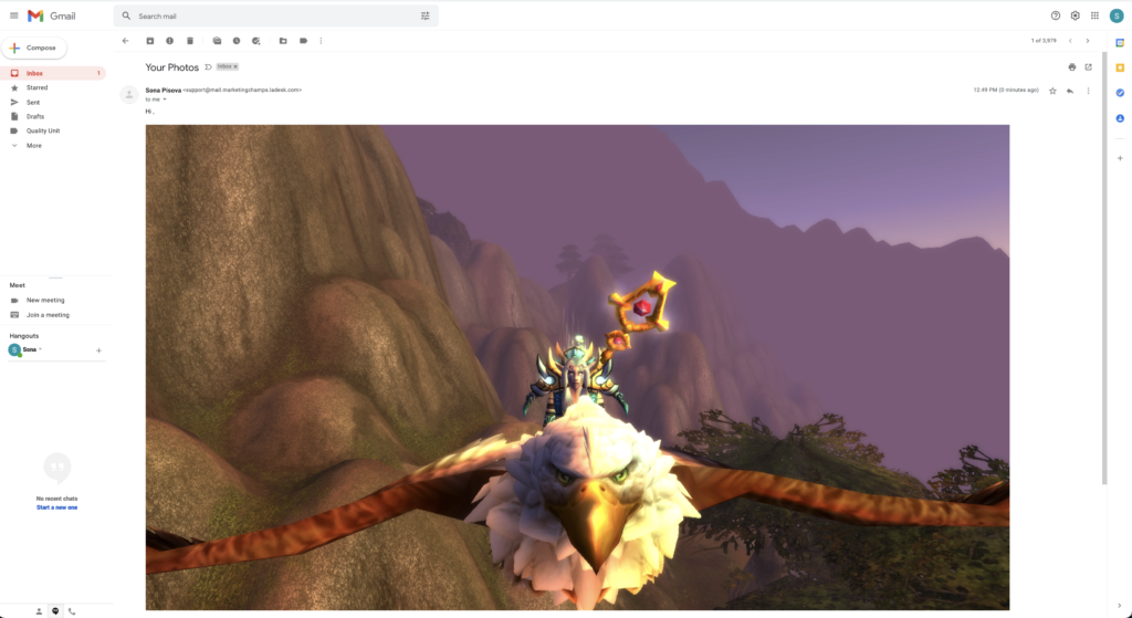 Exemplu de imagine lipită inline în email