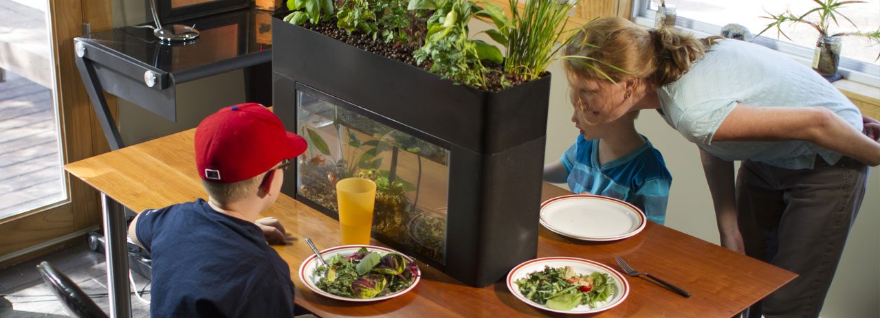 Durabilitate AquaSprouts