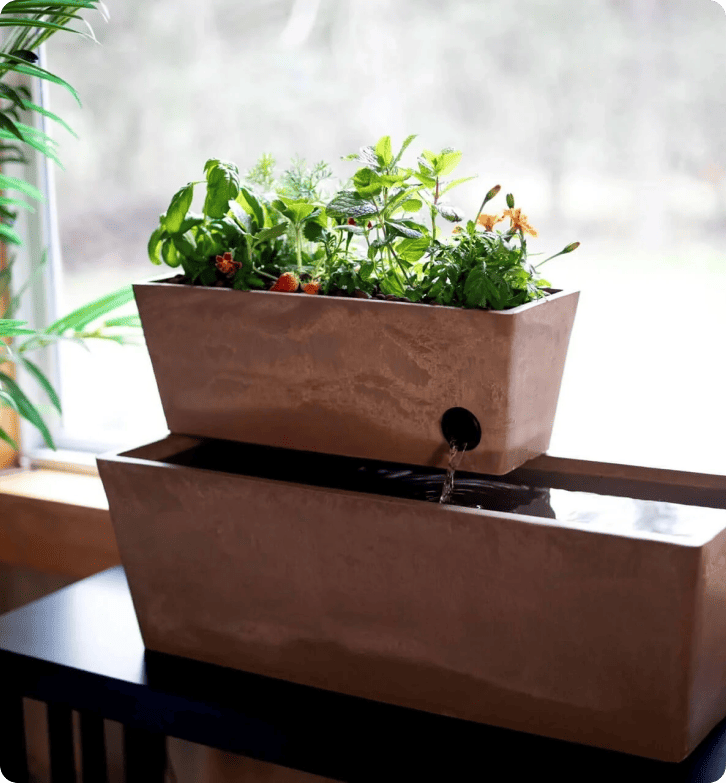 Cum AquaSprouts realizează o rată de satisfacție a clienților de 96,5% cu LiveAgent