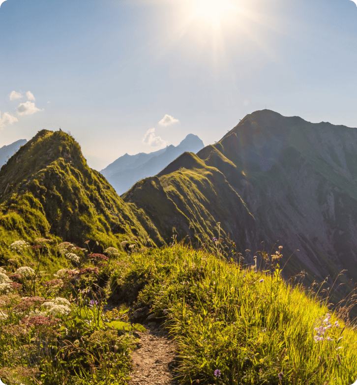 Cum ZlavaDna și-a îmbunătățit serviciul de asistență pentru clienți cu LiveAgent