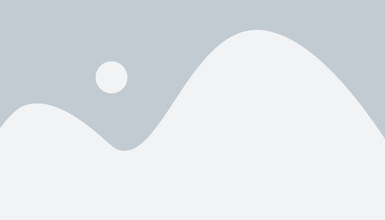 Interfața Agentului